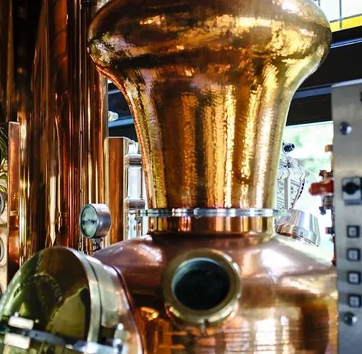 Braugasthof Papiermuehle فندق جينا