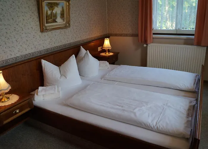 Otel Braugasthof Papiermuehle 3*